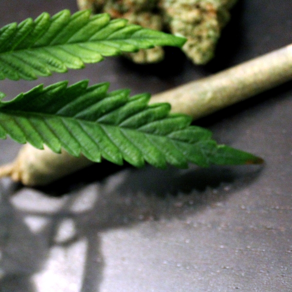 Marijuana+%28vertical%29