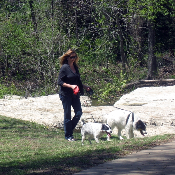 dogs+walking