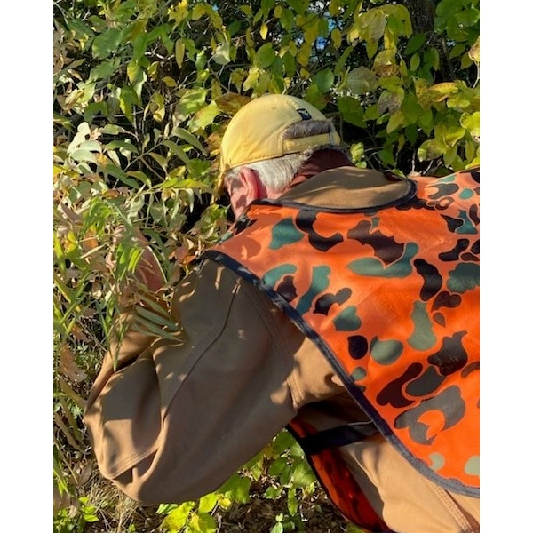 Hunting+season+-+in+the+brush