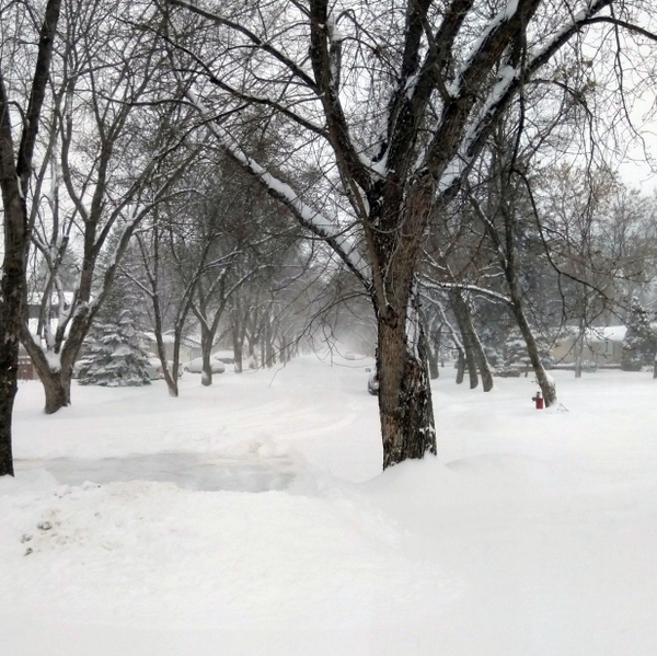 Snow+covered+neighborhood