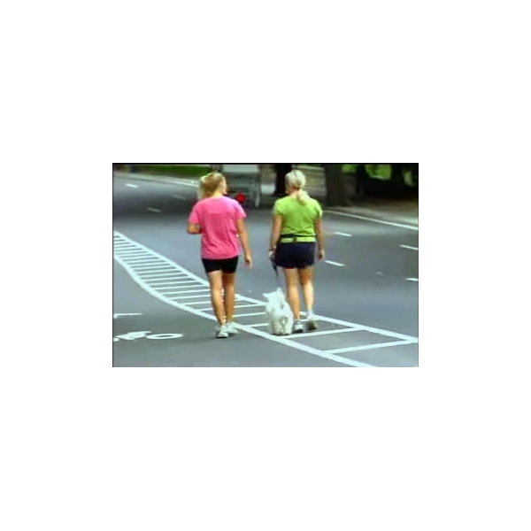women+and+dog+walking
