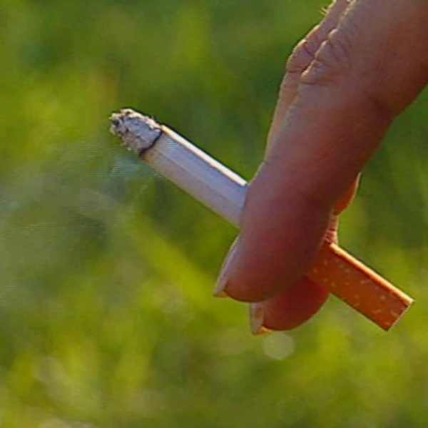 PIC-Cigarette_with_smoke