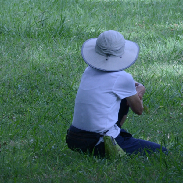 Shade+break+in+summer+heat
