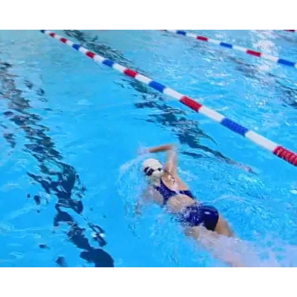 Swimmer