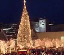 MAYOR'S CHRISTMAS TREE