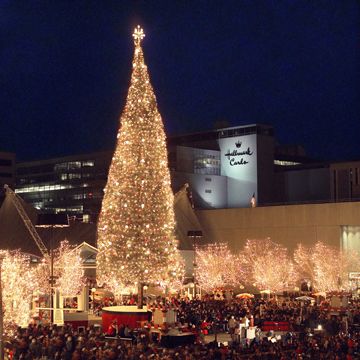 MAYOR'S CHRISTMAS TREE