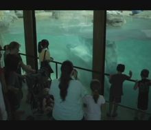 Museums & Attractions