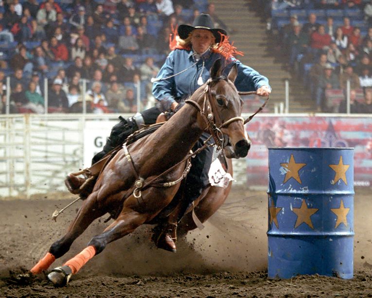 American Royal Livestock, Horse Show & Rodeo