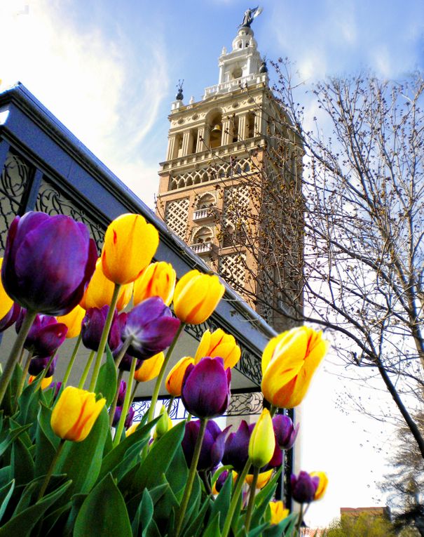 Country Club Plaza, Giralda Tower