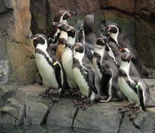 Kansas City Zoo