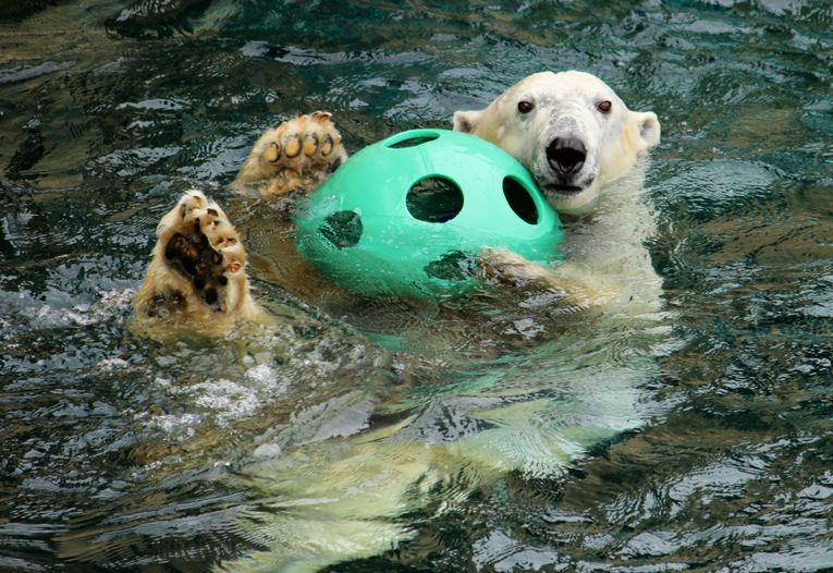 Kansas City Zoo