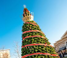 Zona Rosa Holiday