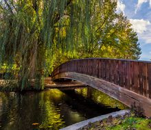 America’s Best Cities for Picnics