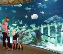 SEA LIFE AQUARIUM KANSAS CITY