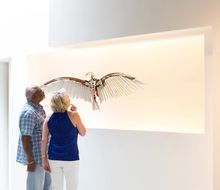 Blue Gallery