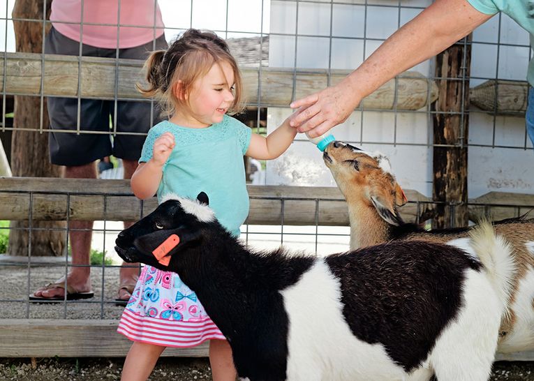 Deanna Rose Children's Farmstead - Overland Park
