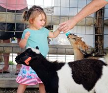 Deanna Rose Children's Farmstead - Overland Park