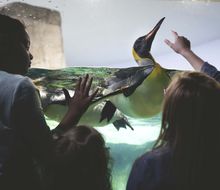KANSAS CITY ZOO AND AQUARIUM