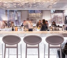 The Monarch Bar