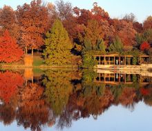 Powell Gardens