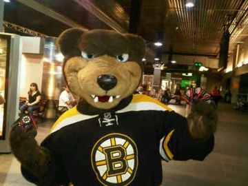 Quest for the Cup: The Boston Bruins Run on Dunkin’ Quest for the Cup: The Boston Bruins Run on Dunkin’