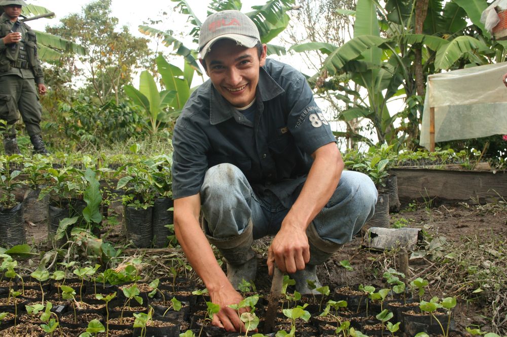 Rainforest Alliance Certification: Making a Difference For Coffee Farmers Worldwide