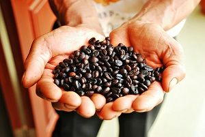Roasted Coffee Beans Small