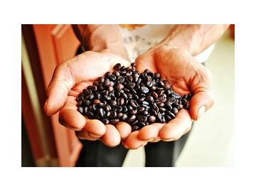 Roasted Coffee Beans Small
