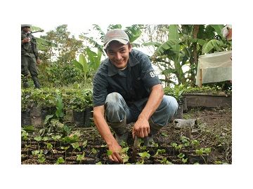 Coffee Nursery Small