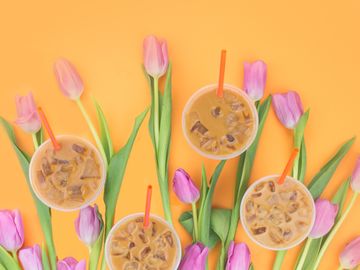 Tulips for iPhone 5
