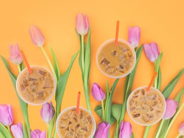 Tulips for iPhone 6 Plus