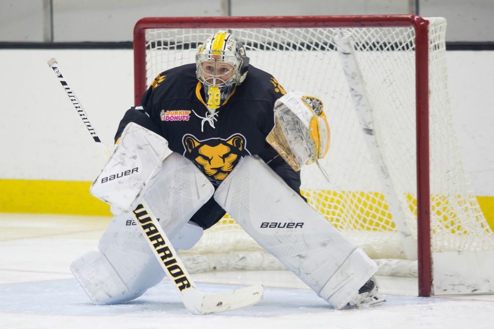 The National Women’s Hockey League Will Keep Running – and Skating –  on Dunkin’