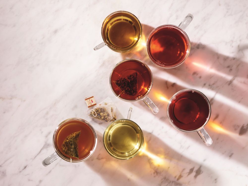 Premium Hot Tea Lineup