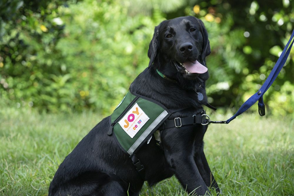 Unleashing our New Chief Joy Officer – Cooper Dunkin’  