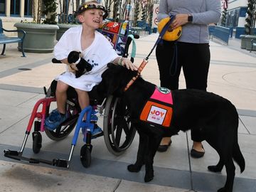 Joy in Childhood Foundation® Unleashes “Dogs for Joy” Joy in Childhood Foundation® Unleashes “Dogs for Joy”
