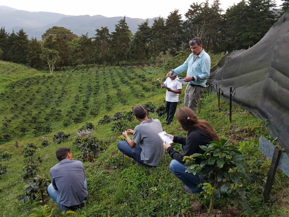 Dunkin’ and National DCP Announce Significant Strategic Initiative to Boost Coffee Sustainability