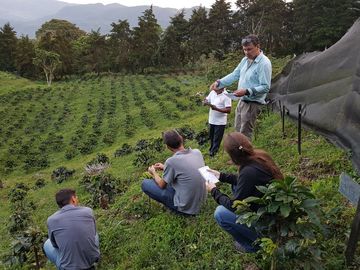 Dunkin’ and National DCP Announce Significant Strategic Initiative to Boost Coffee Sustainability