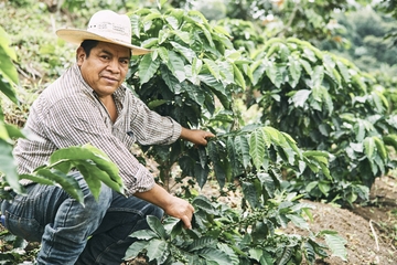 Taking it to the farmer