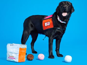 Dogs Can Now Run on Dunkin’ Too: Dunkin’ and BARK Introduce  New Dog Toys for a Cause