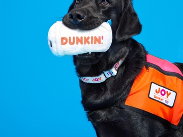BARK Coffee Cup Cooper BARK Coffee Cup Cooper
