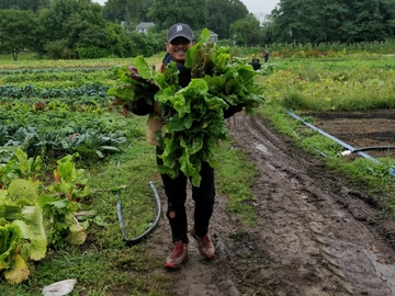 Mill City Grows 1