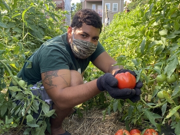 The Food Project 2