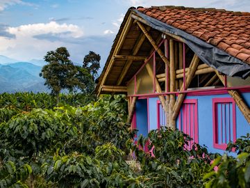 Dunkin’ Continues Commitments to Coffee Sustainability in 2021 Dunkin’ Continues Commitments to Coffee Sustainability in 2021