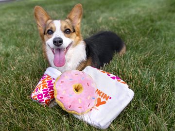 Celebrate National Dog Day with Dunkin’ Inspired Dog Toys from BARK!