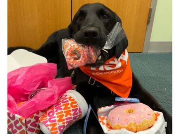 Dunkin’ Joy in Childhood Foundation Celebrates Our “Paw-some Pups” on National Dog Day! Dunkin’ Joy in Childhood Foundation Celebrates Our “Paw-some Pups” on National Dog Day!