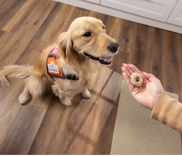 ECommerce-MB_DNK_Vanilla_Dog_TreatingMoment_2