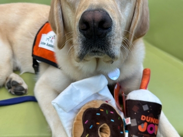 2025 Dunkin’® x BARK® Collection 2025 Dunkin’® x BARK® Collection