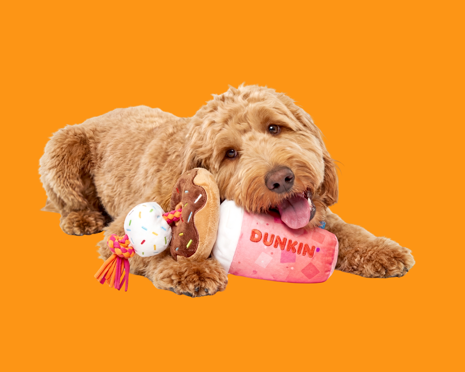 BARK® and Dunkin'® Launch Dunkin's First Official Dog Drive-Thru