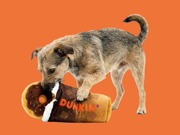 Celebrate National Dog Day with Dunkin’® and BARK®