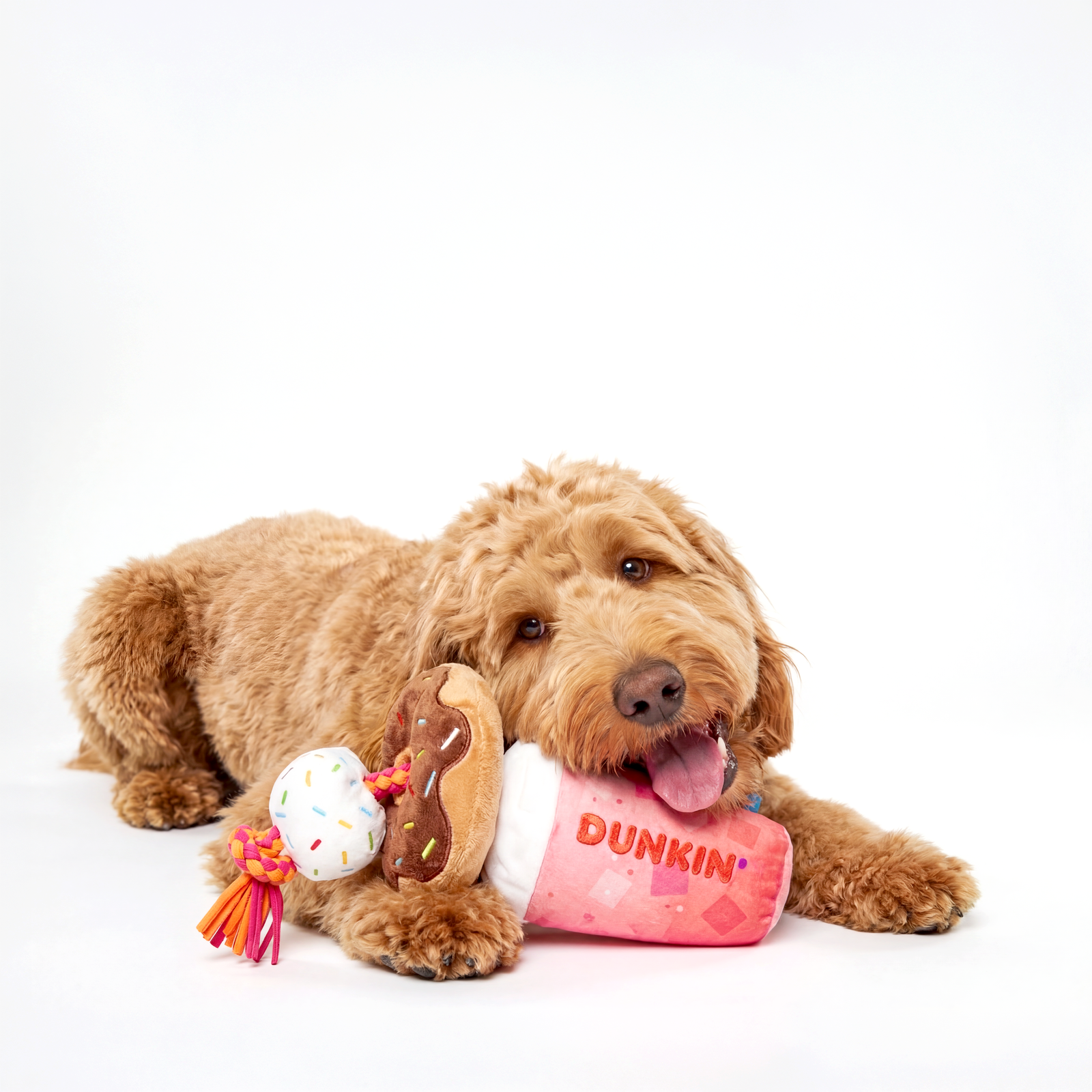 Dunkin' Strawberry Dragonfruit Refresher Donuts Dog Toy